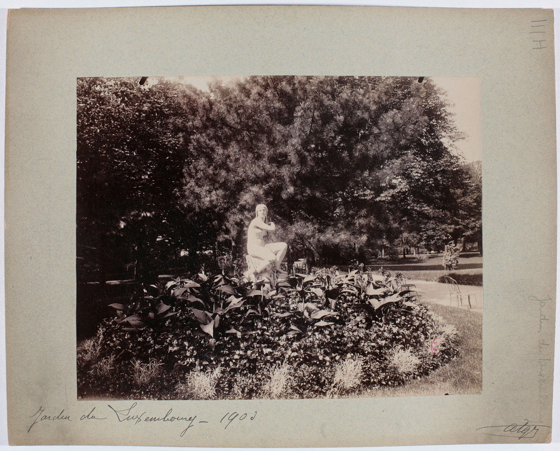Jardin à l'anglaise