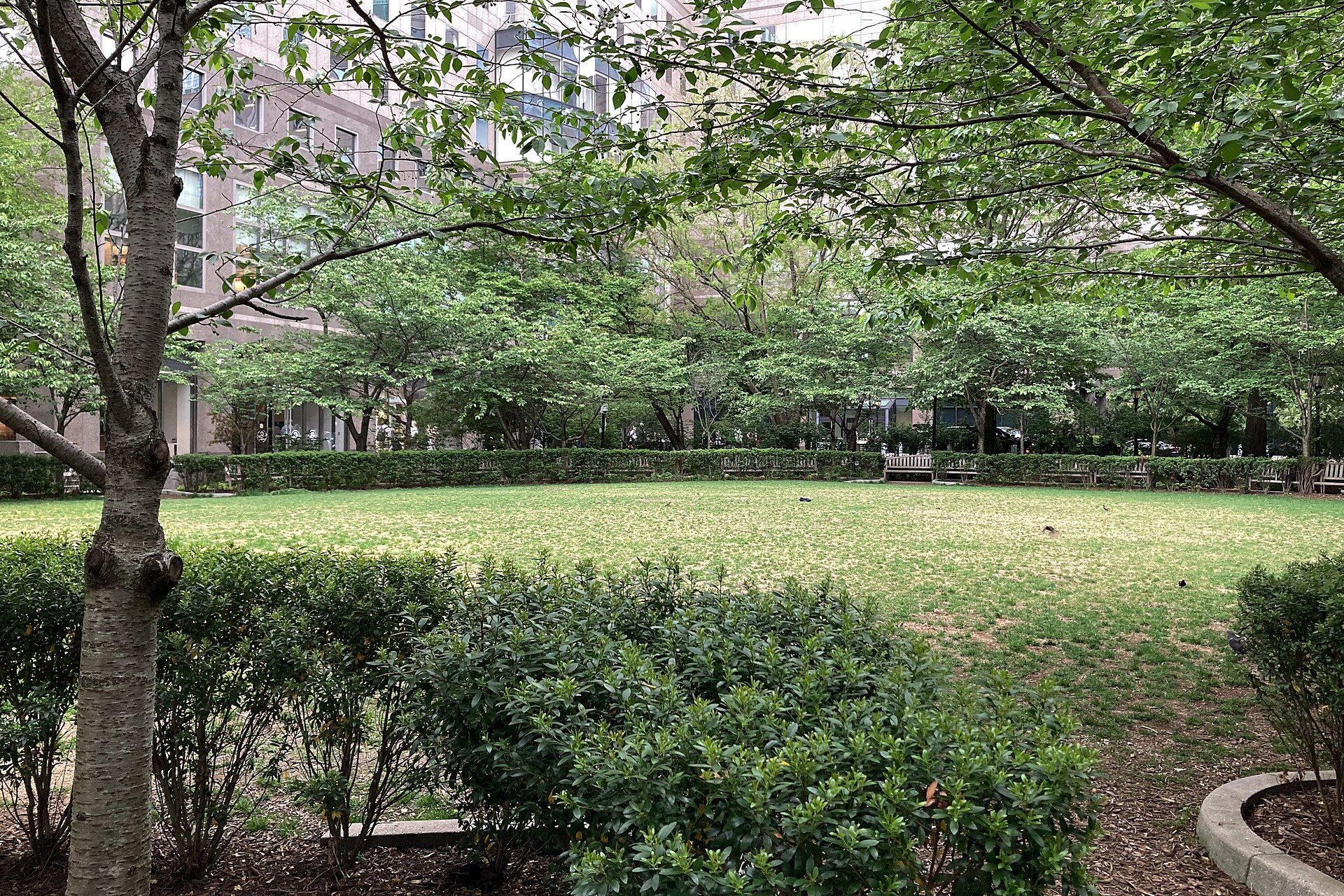 Pumphouse Park