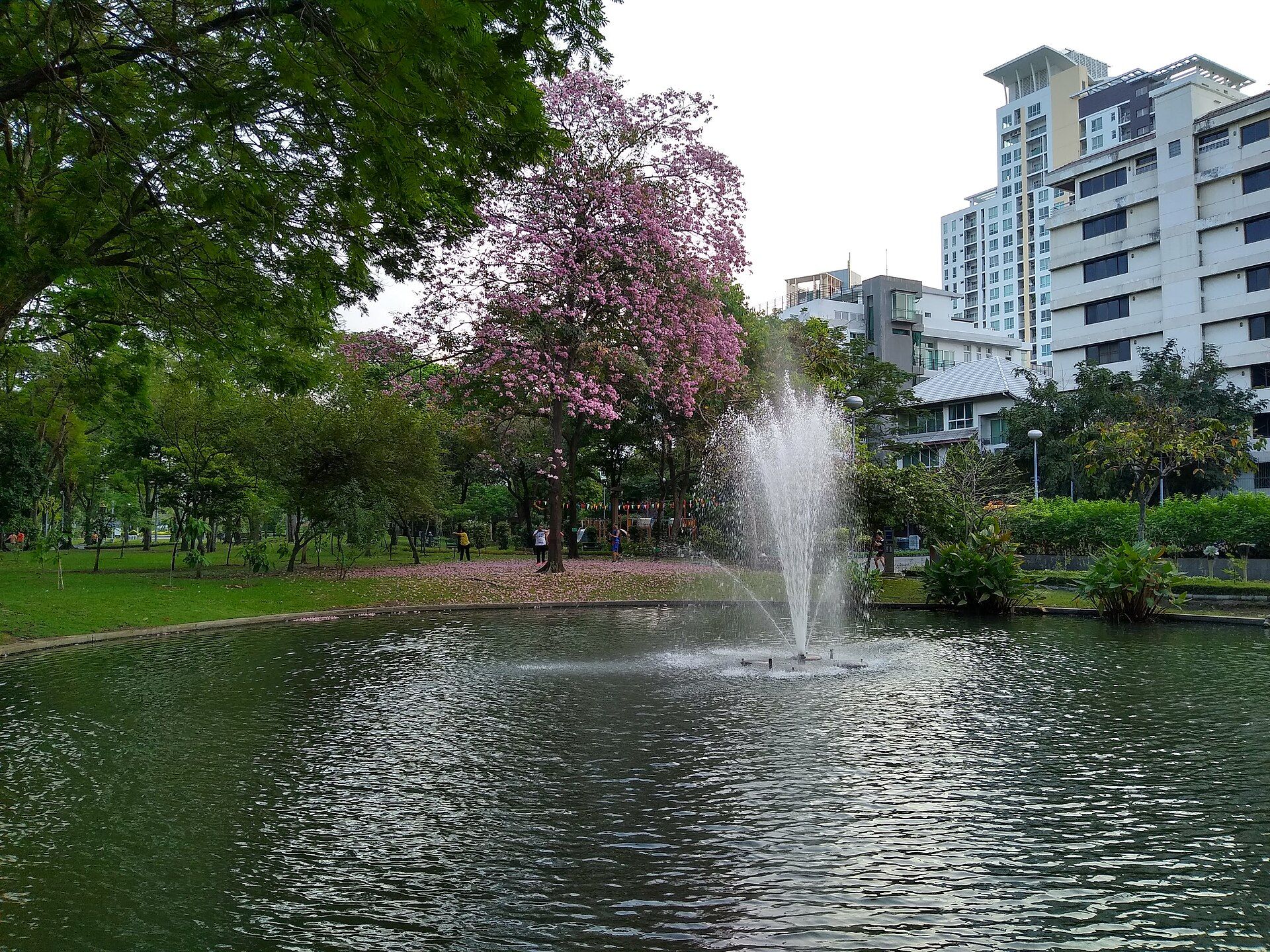สวนสันติภาพ